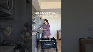 $111 grocery haul