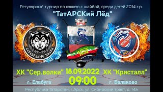 18.09.2022г. Серебряные Волки-2014(Елабуга) - Кристалл-2014(Балаково) . Турнир в г.Арск(2014г.р.) .