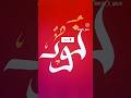 Easy arabic calligraphy | Noor | @khateqalb #arabicart #calligraphy #digitalart #islam