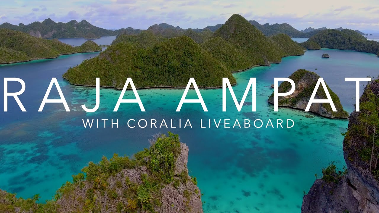 Raja Ampat with Coralia Liveaboard