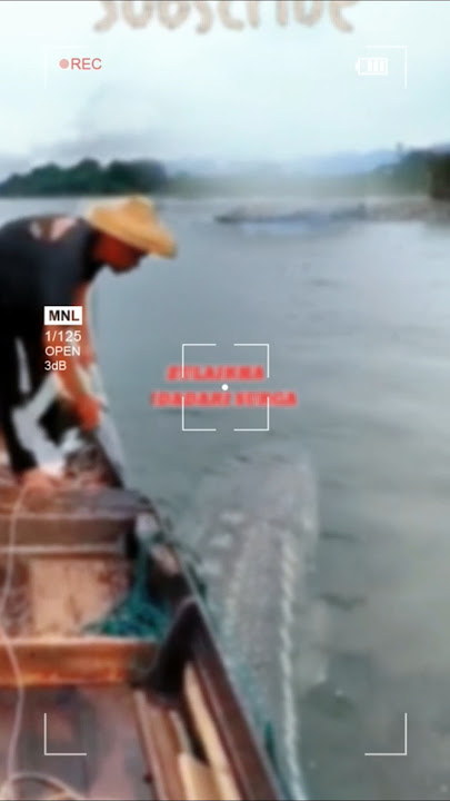 MENEGANGKAN...!! IKAN RAKSASA TIBA-TIBA MUNCUL DIBAWAH PERAHU  #fishing #shortvideo
