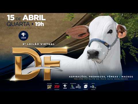 LOTE 12   GORDON FIV NDF   NDF 844