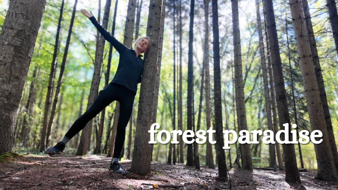 a place to enjoy nature right next to Istanbul 🌱 autumn morning in Belgrad Forest