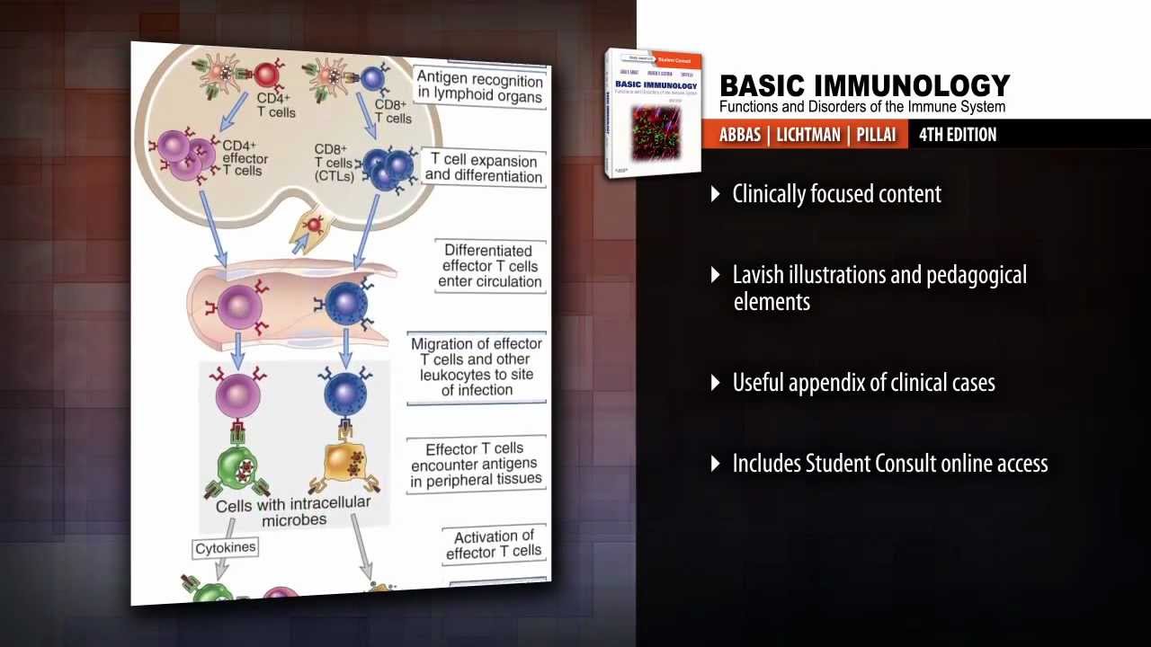 basic immunology abbas ed.4