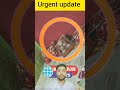 Nabi Akram sallallahu alaihi vasllam Ne bistar mein jaane se pahle yah kam kyon bole karne ke liye