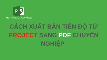 Cách xuất bản tiến độ từ Project sang Pdf chuyên nghiệp