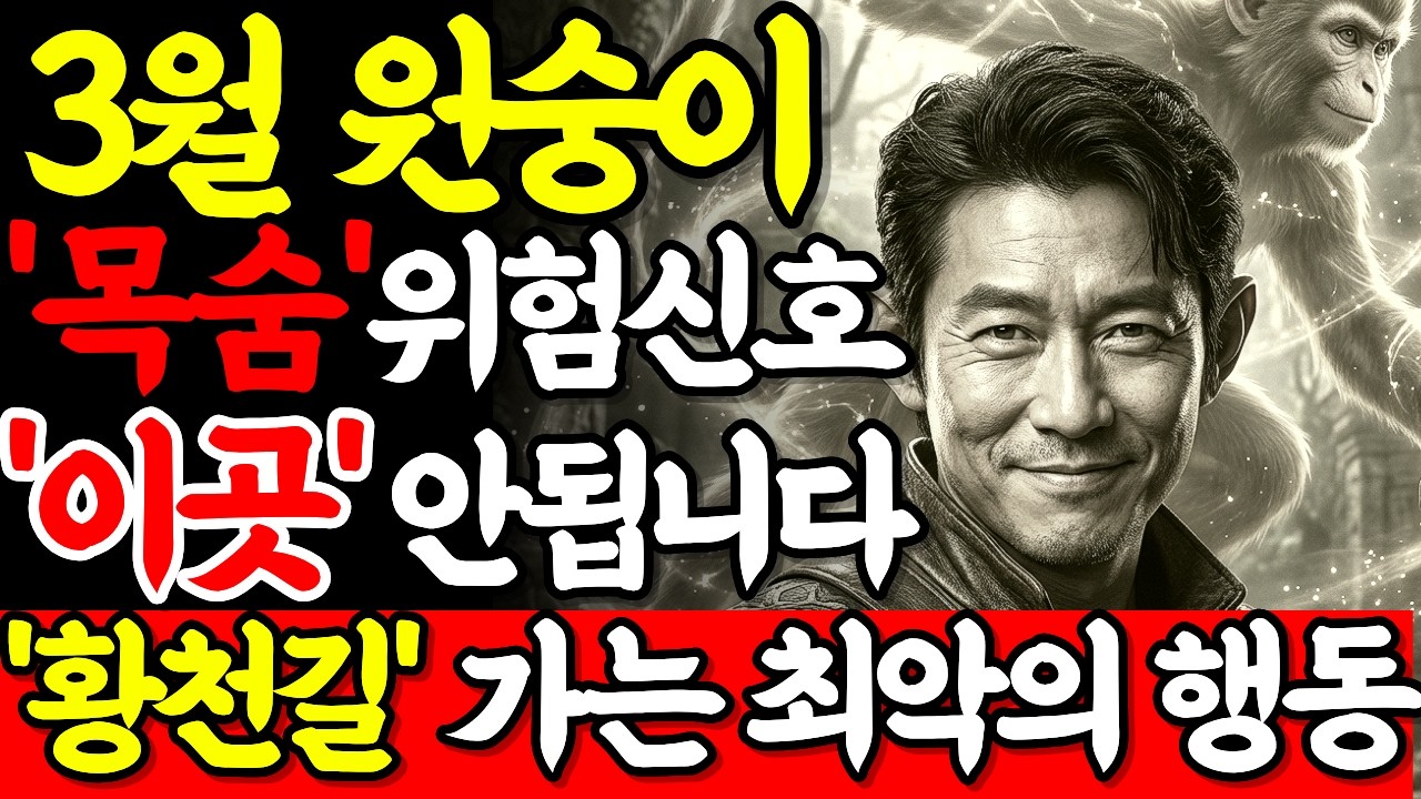 2026년 원숭이띠 운세 | 3월에 '이곳' 가면 진짜 큰일 납니다! 원숭이띠 3월 위험신호 3가지.. (44·56·68·80·92년생 필독)