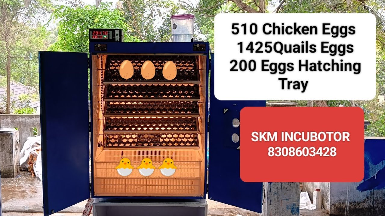510Chicken Eggs + 1425 Quail Eggs Capacity Fully Automatic Incubator (phone no 8300603428)