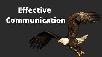 Mastering Effective Communication: Tips for Clear and Concise Messaging