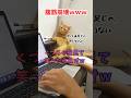 腹筋崩壊ｗｗｗくつろぐ猫見て笑ったら負けｗ