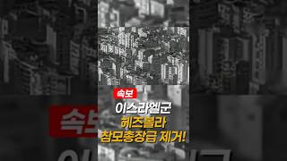 [속보] 헤즈볼라 '참모총장급' 제거! $500만 현상금 타바타바이, 이스라엘군에 피격