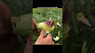 The Hardest Vegetable To Grow! (Only 30% Success Rate) 😱🌱#shorts