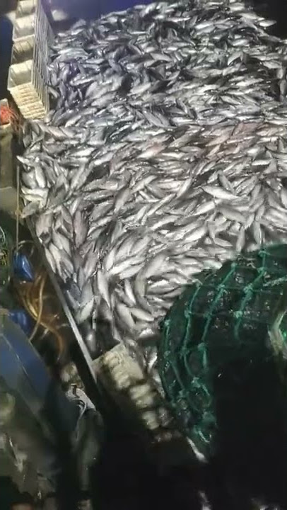 cara kerja kapal trawl