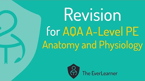 AQA A-Level PE 2022 Revision: Anatomy and Physiology