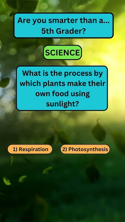 are-you-smarter-than-a-5th-grader-test-your-knowledge-find-out