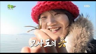 2tv 저녁 생생정보 - 고사도에서 느끼는 ‘톳‘.20171226
