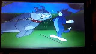 smarty cat Tom y Jerry p final