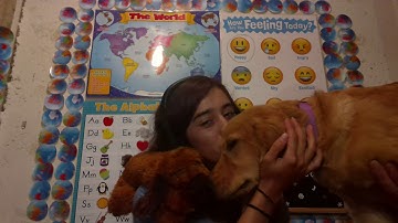 Dada ABC Introduction Video