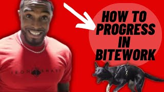 Bite Work Training| How To Progress