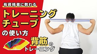 トレーニングチューブの使い方｜背筋のトレーニング【公式】