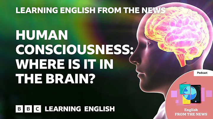 Human consciousness: Where is it in the brain? BBC Learning English from the News