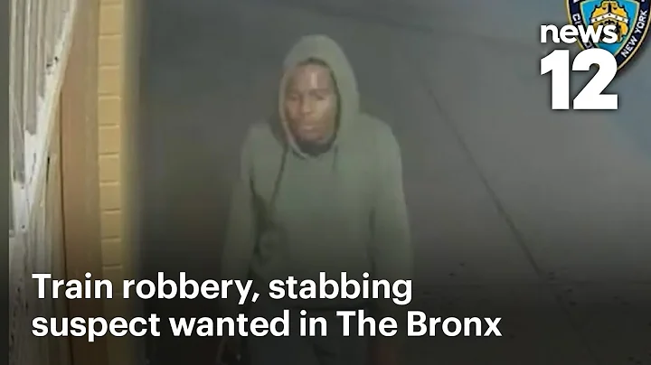 Person wanted in Bronx train station stabbing, robbery: NYPD | News 12