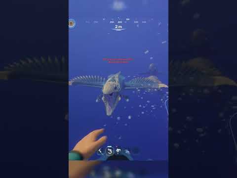 I Lost My Hardcore World in The Dumbest Way Possible... (Subnautica 2)