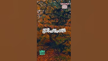 كَتَبَ رَبُّكُمْ عَلَىٰ نَفْسِهِ الرَّحْمَةَ 🎧 الشيخ على عبدالله جابر 🎧 سورة الأنعام🎧