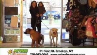 "Brooklyn NY Pet Supply Store" "Manhattan Online Pet Supplies"