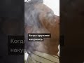 #прикол #смешно #смех #трава #420 #фильмы #фильм #тренды #реки #рек