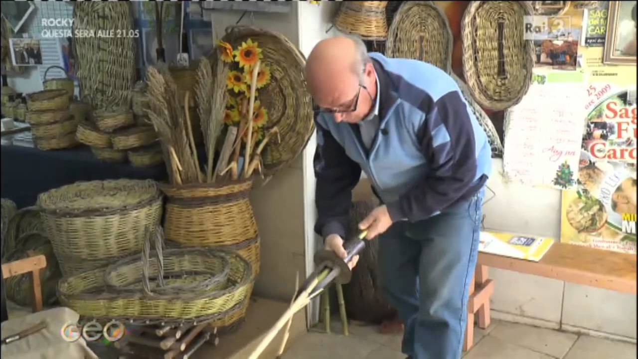 Cima di rapa Minervino Murge - GEO 5 novembre 2015