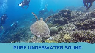 Pure Underwater sound, relax and chill. Nature Vibrations, calming music video