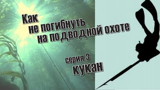 КАК НЕ ПОГИБНУТЬ НА ПОДВОДНОЙ ОХОТЕ серия 3  КУКАН