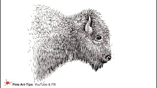 HOW TO DRAW A BUFFALO'S HEAD, WITH INK - Timelapse