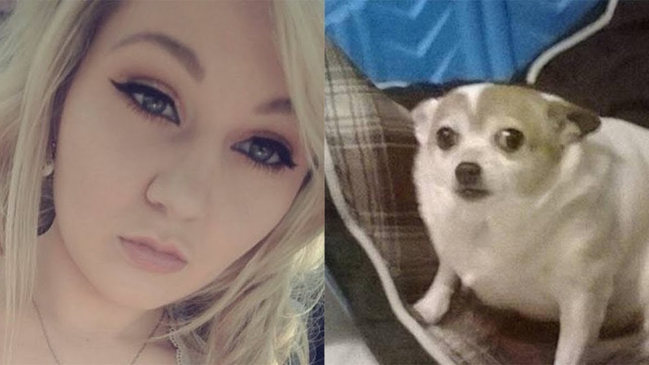 Whitney Wisconsin - Puppy Killer - YouTube.