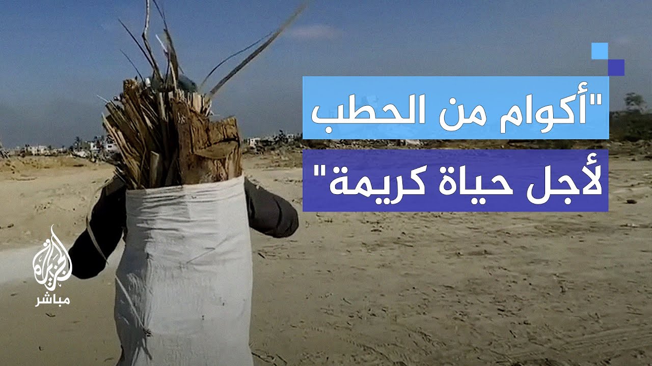 مهنة مستحدثة مخاطرها كبيرة.. نازحون يجمعون الحطب من الحدود بشرق خان يونس