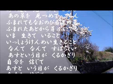 明日という日が＝＝＝クロマチックハーモニカ