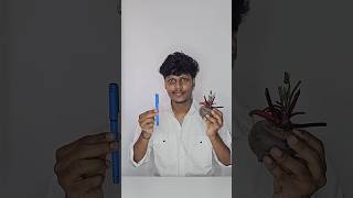Beetroot സംഭവം കൊള്ളാം 😱✌️#shorts #art #explore #painting