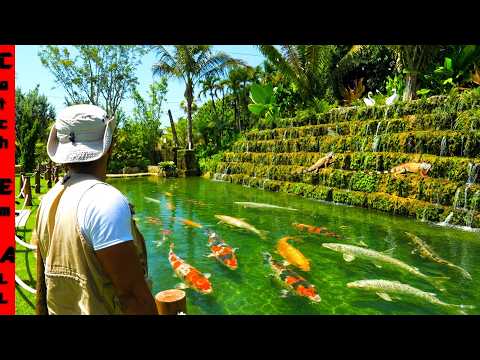 BUILDING a $1 MILLION DOLLAR Backyard Exotic FISH WATERFALL into Pond! thumbnail