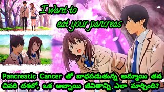 I Want to Eat Your Pancreas explained in Telugu| Anime explained in Telugu| #anime