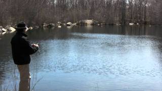 How to steer Triggerfish