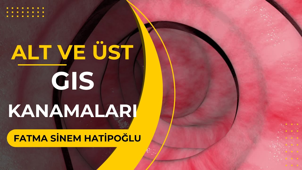 Gis Kanamaları Sinem Hatipoğlu