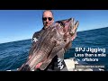 Epic Shallow water jigging for dhufish, Hamachi Tackle, Ledge Point / Lancelin , Western Australia