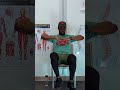 Seated Matching Cardio Exercise with Fast Feet | Coordination & Cognitive Training