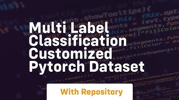 Multi label classification customized pytorch dataset
