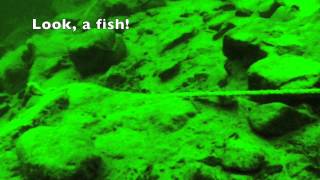 Where is Peo - a dive with Aqwary SmartConsole