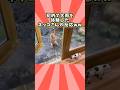 ネコさんの動画見て笑ったら寝ろwwwww