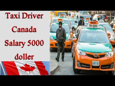 Taxi Driver need in Canada || Taxi driver Salary || Visa