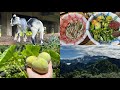 VILLAGE VLOG: Fishing day 🎣 || Arunachal Pradesh|| @Dyjourney