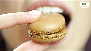 Guilty Pleasures - Inspiration 2025 | Gattefossé